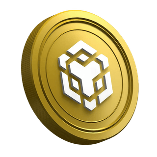 Kryptoměnová mince Binance BNB zobrazená na stránce určené začínajícím obchodníkům